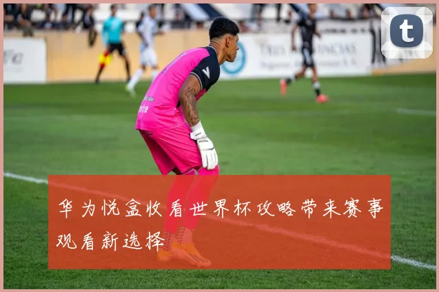 华为悦盒收看世界杯攻略带来赛事观看新选择