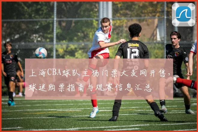 上海CBA球队主场门票大麦网开售，球迷购票指南与观赛信息汇总