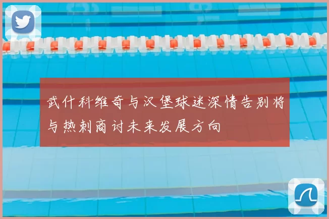 武什科维奇与汉堡球迷深情告别将与热刺商讨未来发展方向