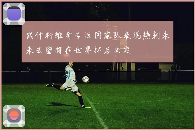 武什科维奇专注国家队表现热刺未来去留将在世界杯后决定