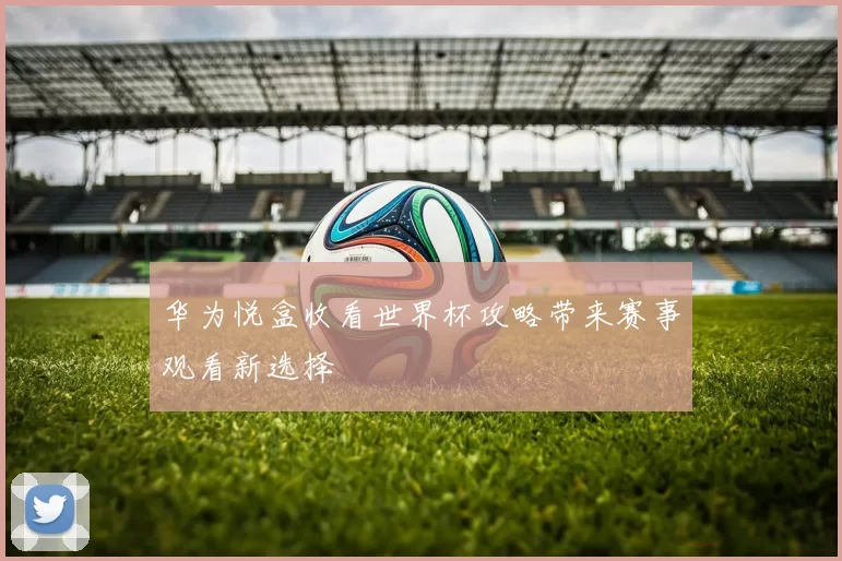 华为悦盒收看世界杯攻略带来赛事观看新选择
