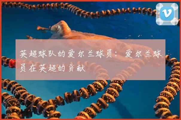 英超球队的爱尔兰球员：爱尔兰球员在英超的贡献