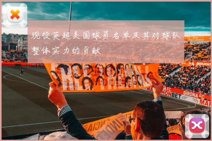 现役英超美国球员名单及其对球队整体实力的贡献