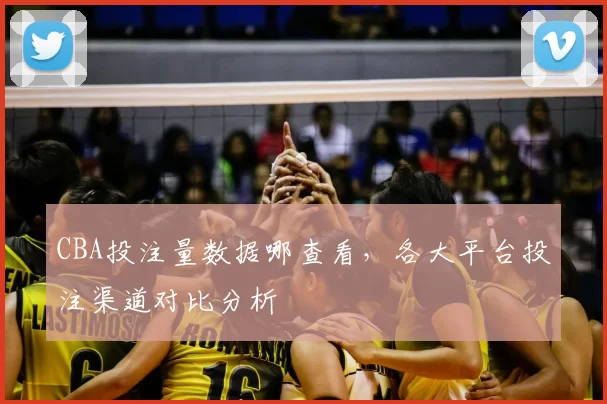 CBA投注量数据哪查看，各大平台投注渠道对比分析