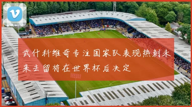 武什科维奇专注国家队表现热刺未来去留将在世界杯后决定