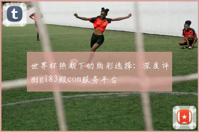 世界杯热潮下的购彩选择：深度评测gi83殿com服务平台