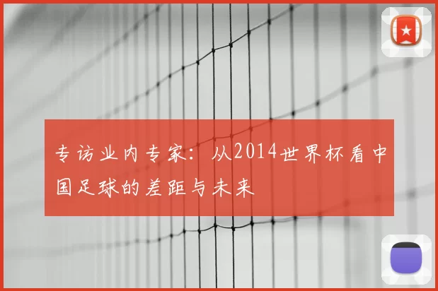 专访业内专家：从2014世界杯看中国足球的差距与未来