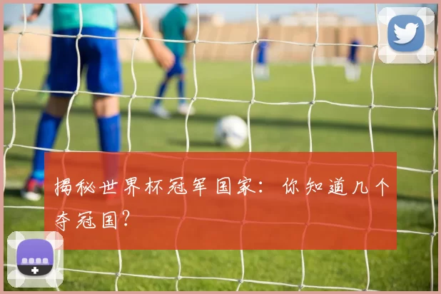 揭秘世界杯冠军国家：你知道几个夺冠国？