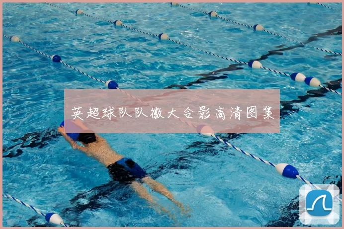 英超球队队徽大合影高清图集