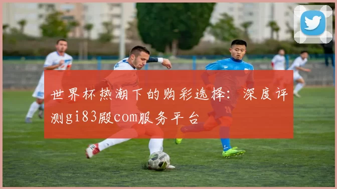 世界杯热潮下的购彩选择：深度评测gi83殿com服务平台