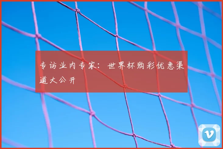 专访业内专家:世界杯购彩优惠渠道大公开