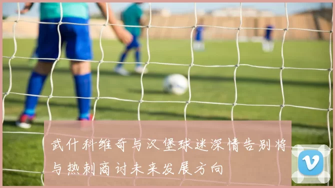 武什科维奇与汉堡球迷深情告别将与热刺商讨未来发展方向