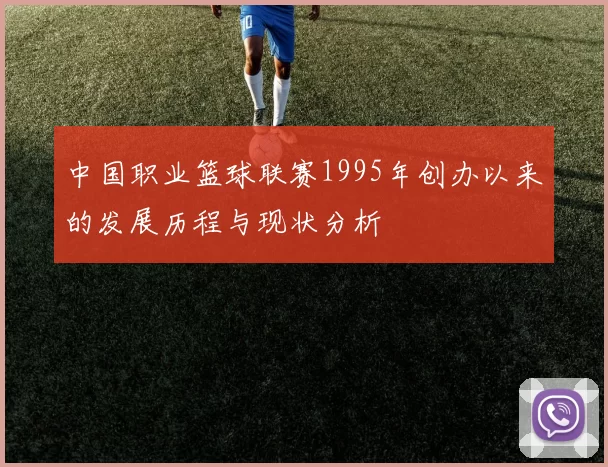 中国职业篮球联赛1995年创办以来的发展历程与现状分析