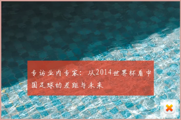 专访业内专家：从2014世界杯看中国足球的差距与未来