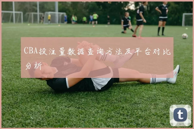 CBA投注量数据查询方法及平台对比分析