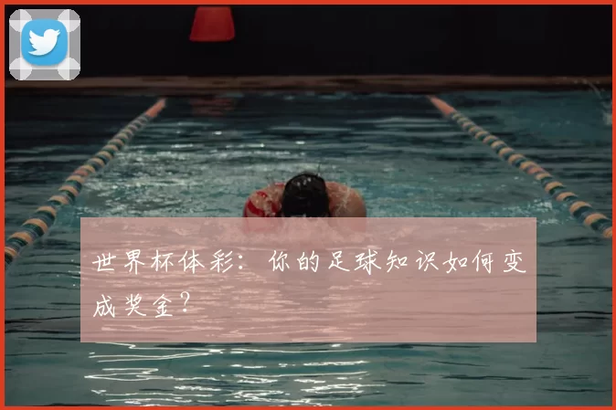 世界杯体彩:你的足球知识如何变成奖金?