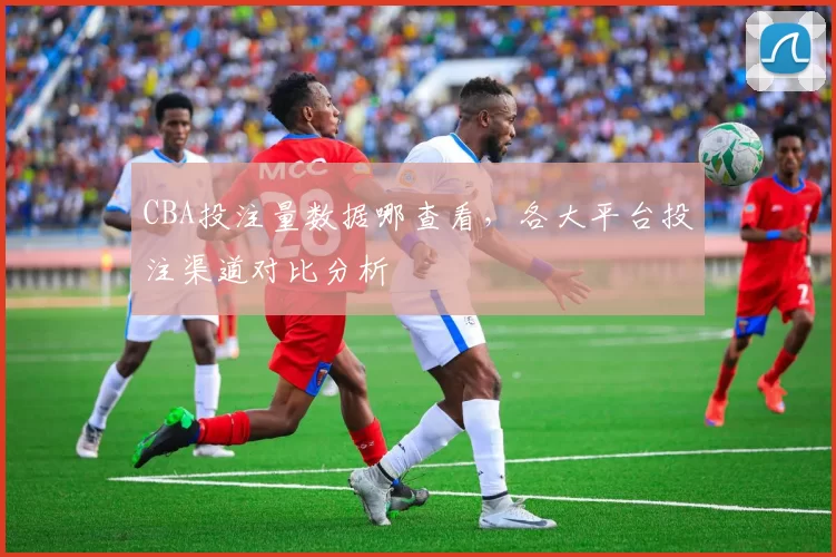 CBA投注量数据哪查看，各大平台投注渠道对比分析