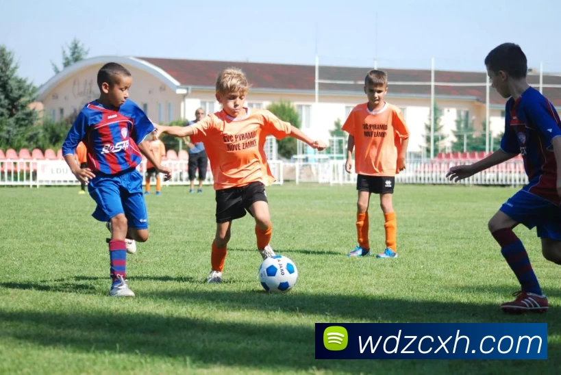 星空官网平台生态图